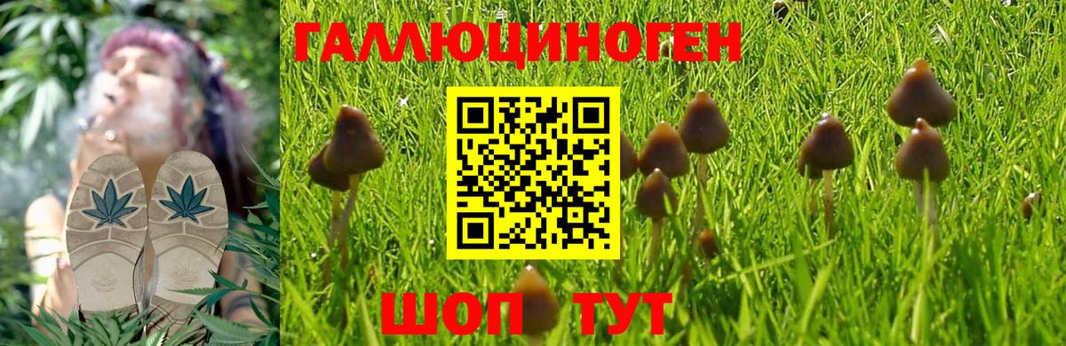 Галлюциногенные грибы мицелий Искитим